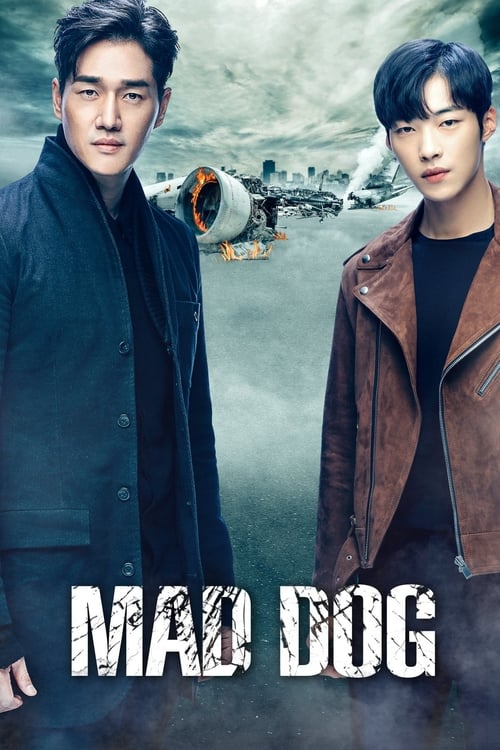 ดูซีรี่ย์ Mad Dog ทีมสืบพันธุ์หมาบ้า (2017) พากย์ไทย EP.1-16 (จบ) Season 1