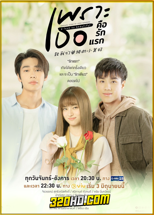 ดูซีรี่ย์ไทย เพราะเธอคือรักแรก A Love So Beautiful (2024) ย้อนหลัง EP.1-18 (จบ)