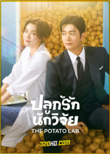 ดูซีรี่ย์ The Potato Lab ปลูกรักนักวิจัย (2025) ซับไทย EP.1-12 (จบ)