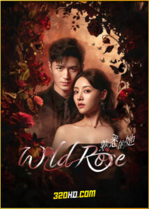 ดูซีรี่ย์ Wild Rose ทวงแค้นได้รัก (2025) ซับไทย EP.1-24 (จบ)