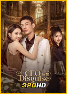 ดูซีรี่ย์ My CEO In Disguise (2025) ซับไทย EP.1-25 (จบ)